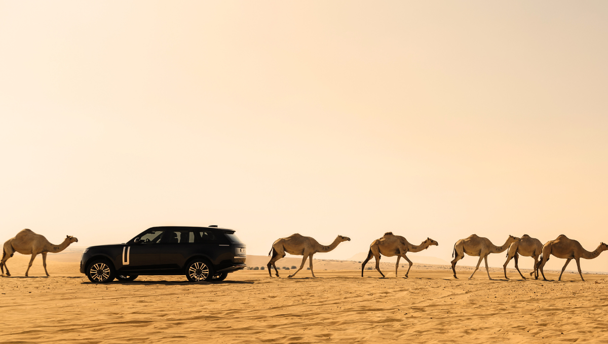 @Range Rover