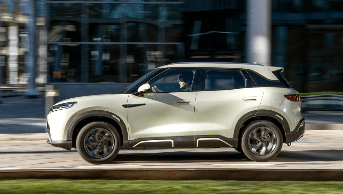 BYD - BYD Atto 2