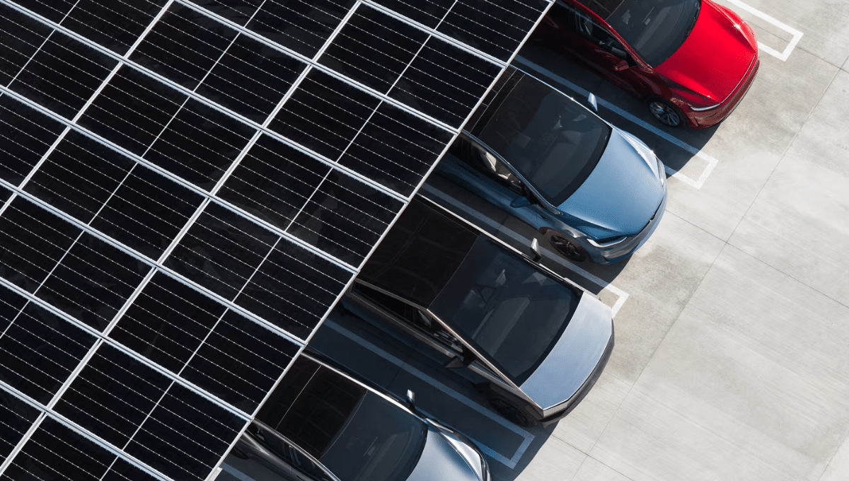 Tesla - Tesla Model Y Performance