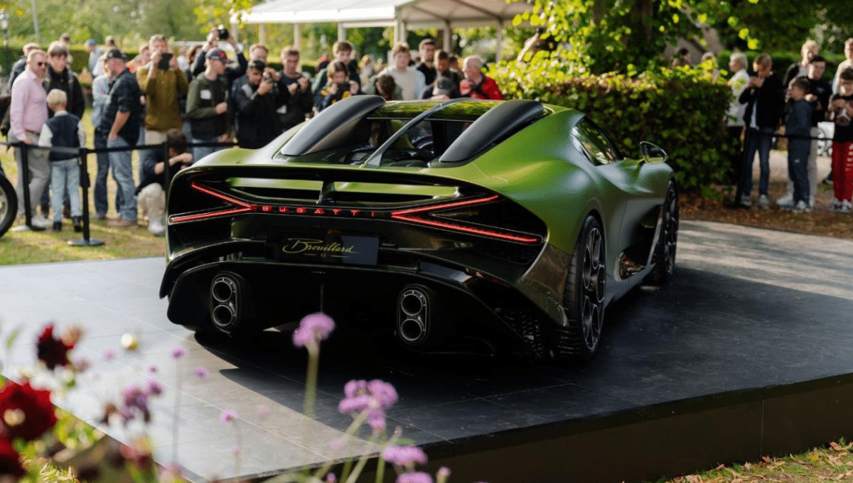 Bugatti - Bugatti Brouillard - Vue arrière
