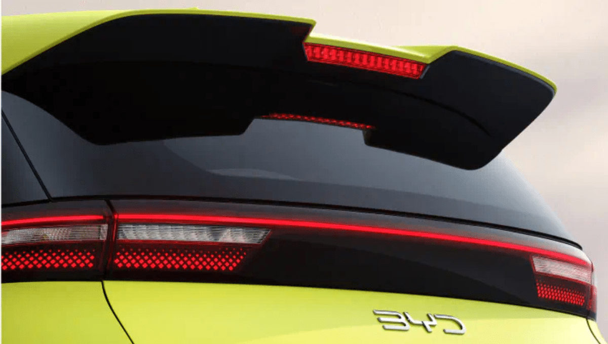 BYD - Dolphin Surf - Coffre