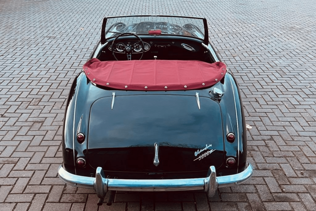 AUSTIN HEALEY 100 1006 - 1959 vue de derrière