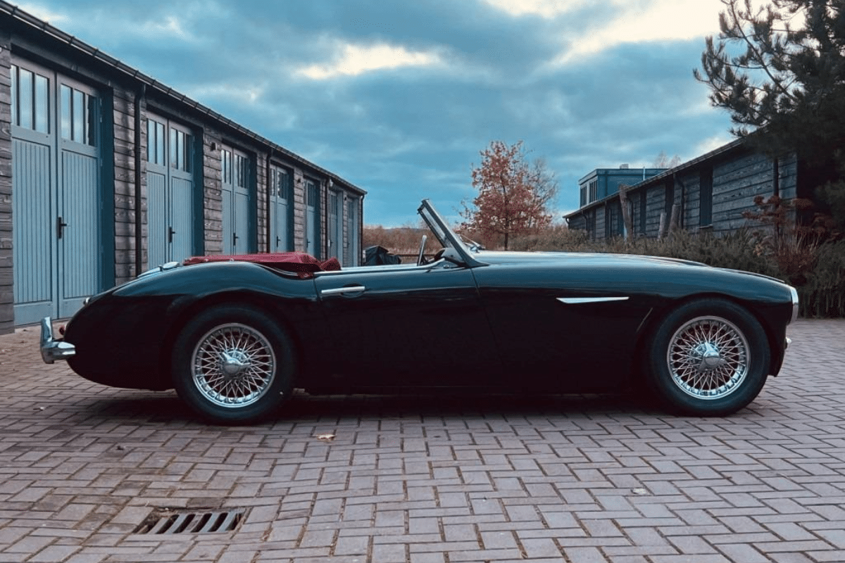 AUSTIN HEALEY 100 1006 - 1959 vue de profil