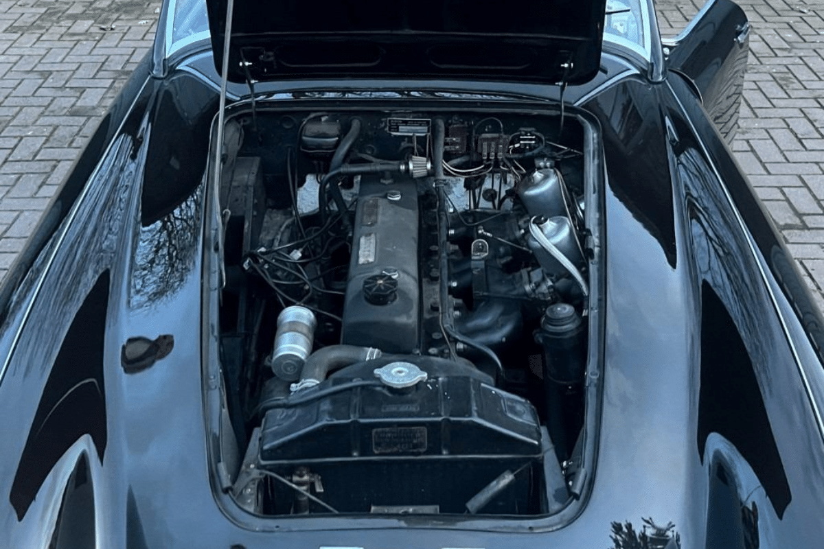 AUSTIN HEALEY 100 1006 - 1959 vue du moteur