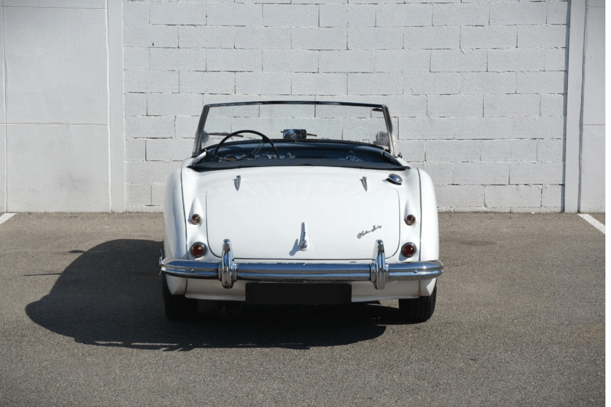AUSTIN HEALEY 100 1006 BN6 - 1959 vue de derrière