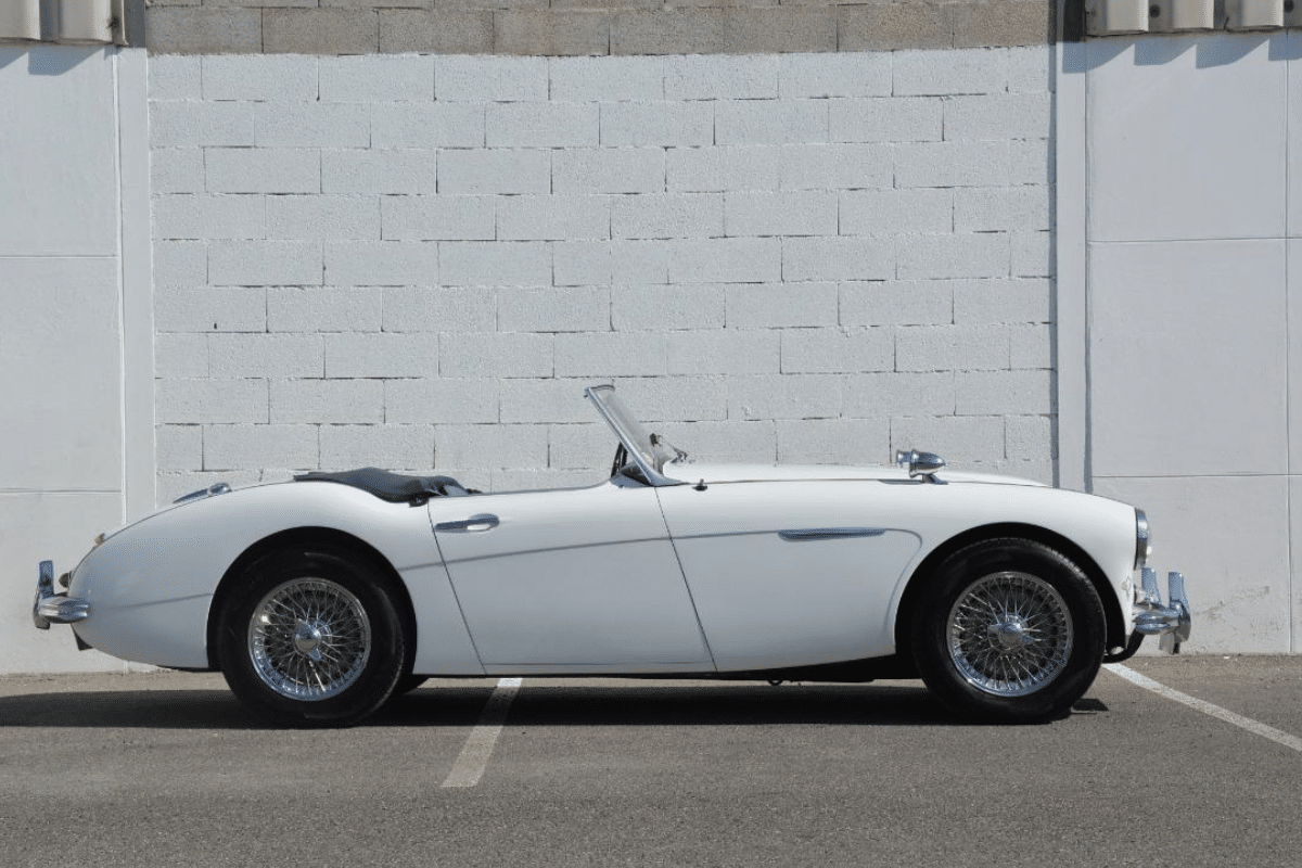 AUSTIN HEALEY 100 1006 BN6 - 1959 vue de profil