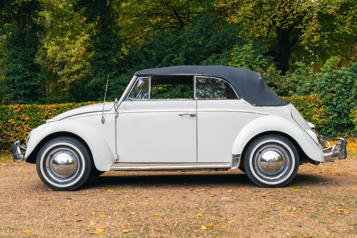 VOLKSWAGEN Coccinelle - 1962 vue de profil