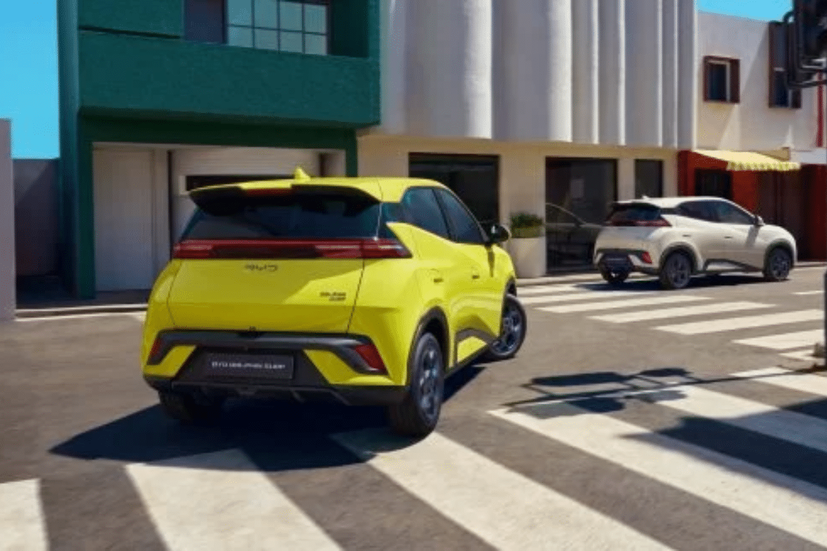 BYD lance "Purefication", une opération ciblée et maligne