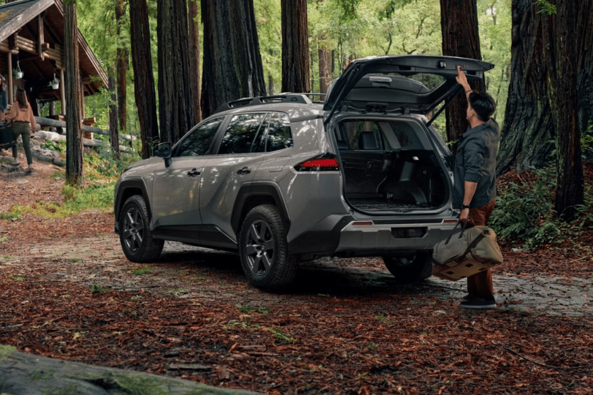 Toyota RAV4 Woodland vue arrière