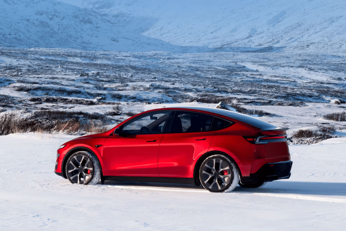 Model Y Standard