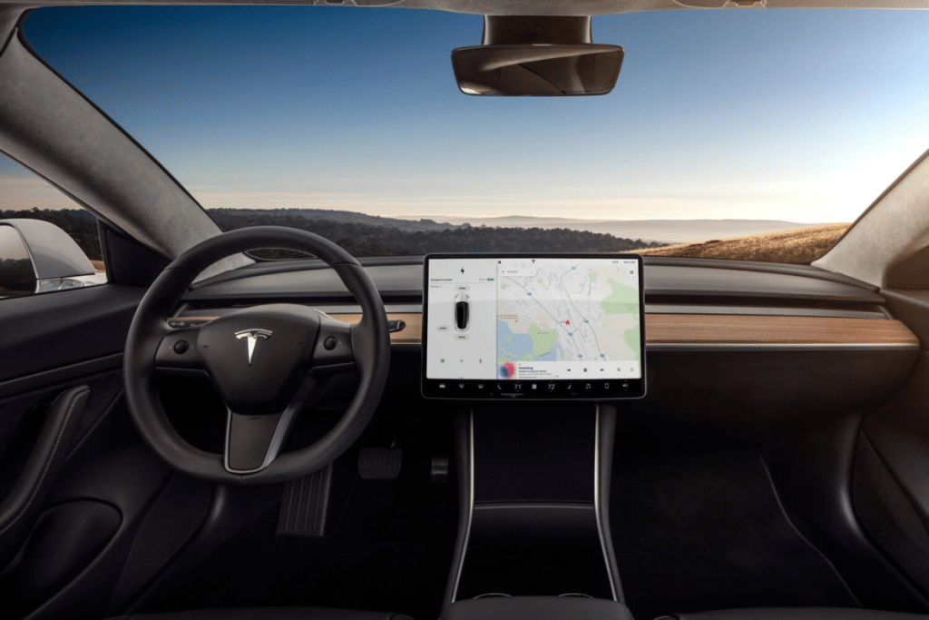 Tesla FSD