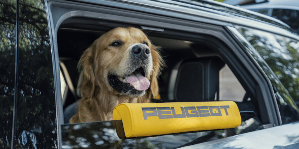 Le Peugeot E-5008 Dog Edition arrive, avec matelas modulable et fonction Golden Retriever